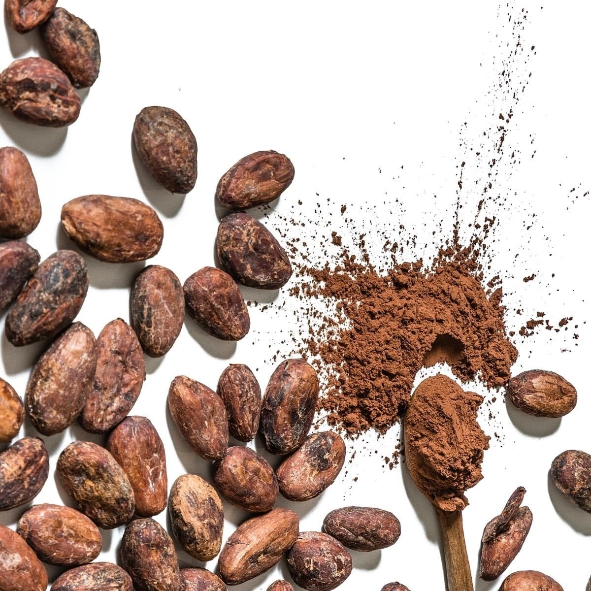 Acondicionador solido de cacao 90 gr
