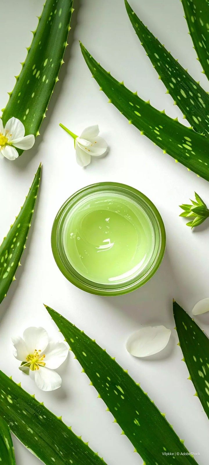 Crema para contorno de ojos Anti ojeras. 30 gr